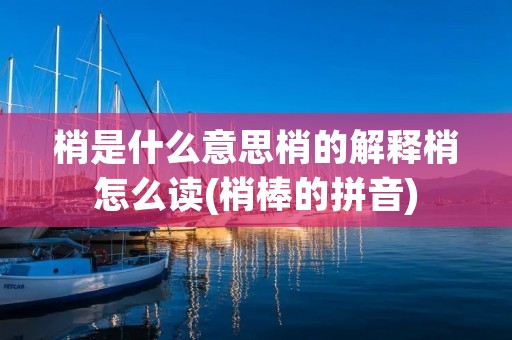 梢是什么意思梢的解释梢怎么读(梢棒的拼音)