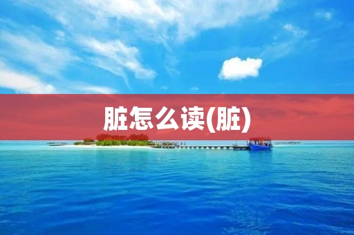 脏怎么读(脏)