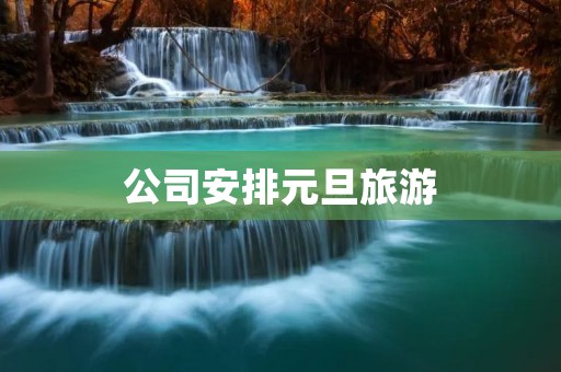 公司安排元旦旅游