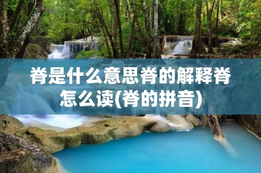 脊是什么意思脊的解释脊怎么读(脊的拼音)