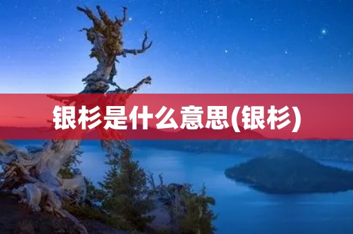 银杉是什么意思(银杉)