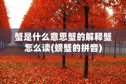 蟹是什么意思蟹的解释蟹怎么读(螃蟹的拼音)