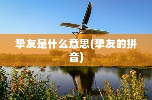 挚友是什么意思(挚友的拼音)