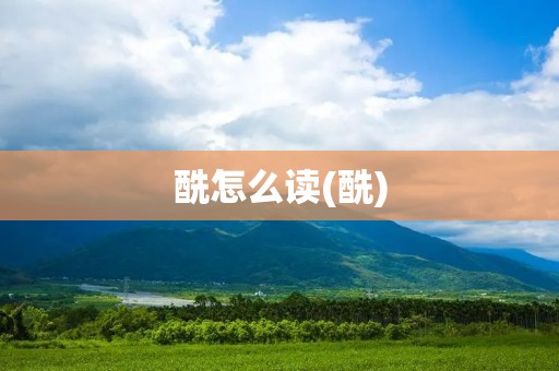 酰怎么读(酰)