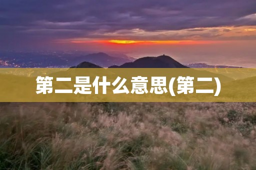 第二是什么意思(第二)