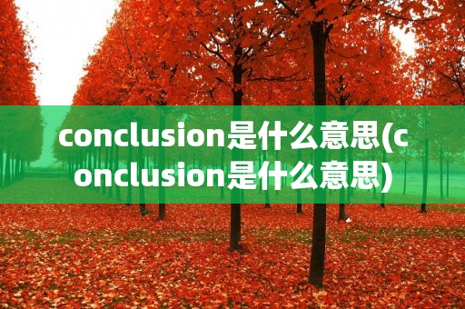 conclusion是什么意思(conclusion是什么意思)