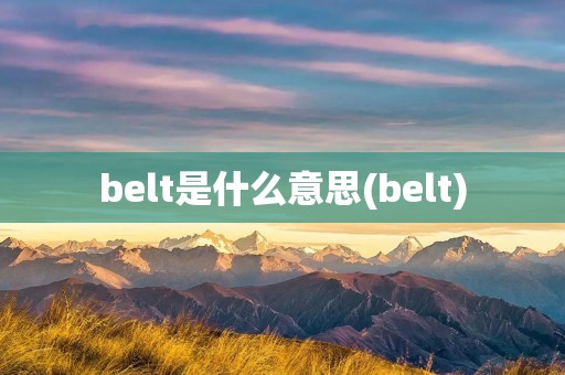 belt是什么意思(belt)