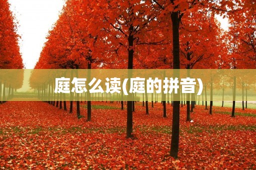 庭怎么读(庭的拼音)