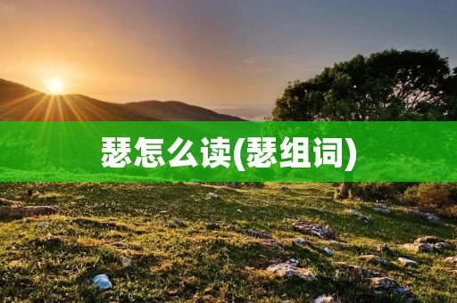 瑟怎么读(瑟组词)