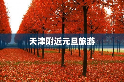 天津附近元旦旅游
