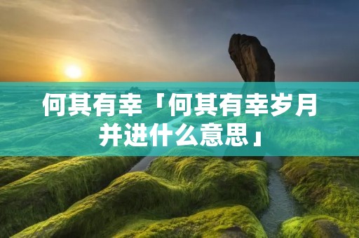 何其有幸「何其有幸岁月并进什么意思」