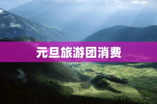 元旦旅游团消费
