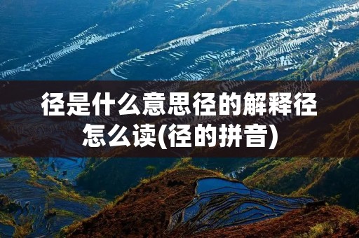 径是什么意思径的解释径怎么读(径的拼音)