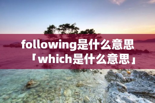 following是什么意思「which是什么意思」