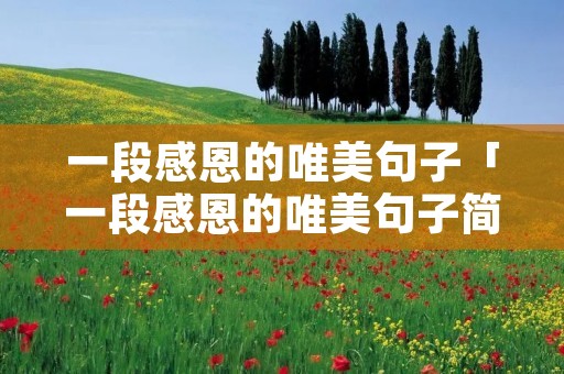 一段感恩的唯美句子「一段感恩的唯美句子简短」 一段感恩的唯美句子「一段感恩的唯美句子简短」