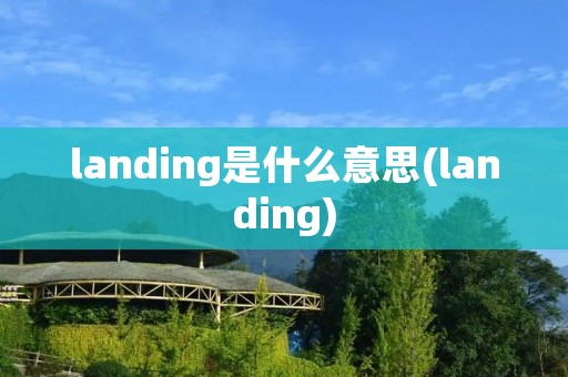 landing是什么意思(landing)