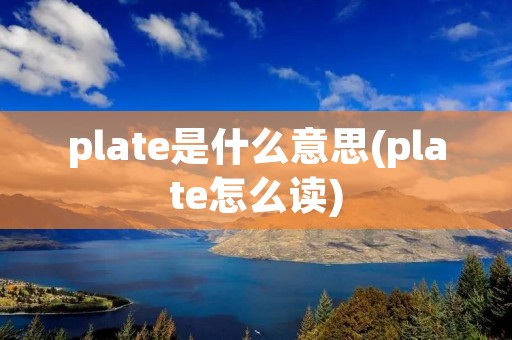 plate是什么意思(plate怎么读) plate是什么意思(plate怎么读)