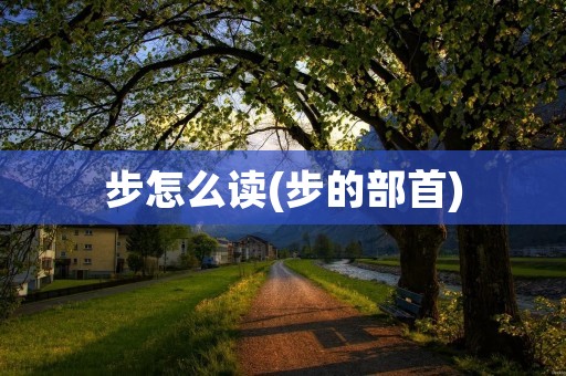 步怎么读(步的部首)