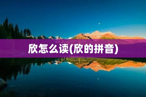 欣怎么读(欣的拼音)
