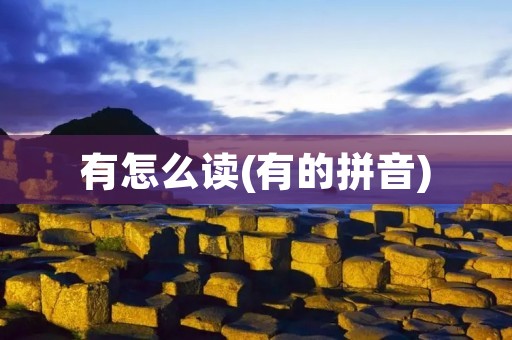 有怎么读(有的拼音) 有怎么读(有的拼音)
