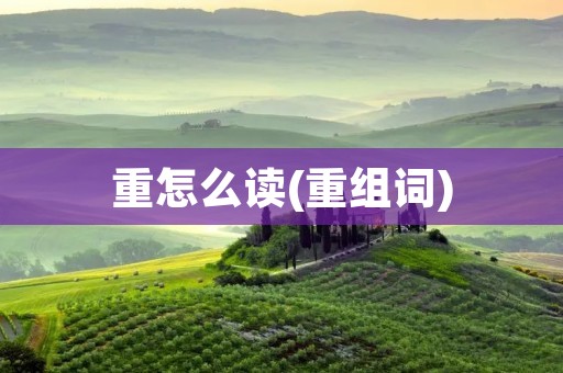 重怎么读(重组词)