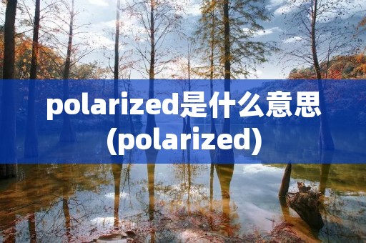 polarized是什么意思(polarized)