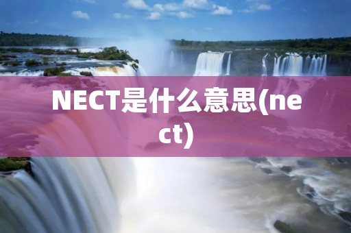 NECT是什么意思(nect)
