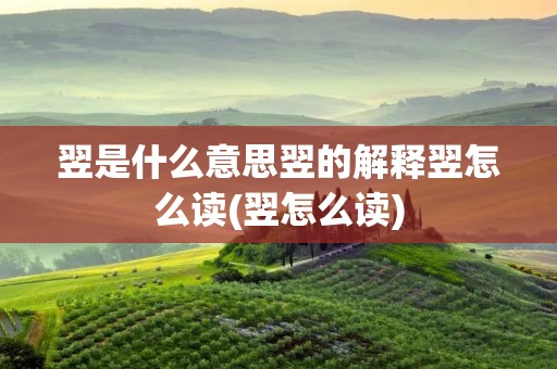 翌是什么意思翌的解释翌怎么读(翌怎么读)