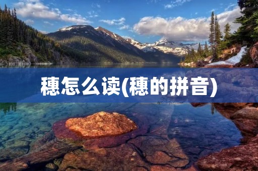 穗怎么读(穗的拼音)
