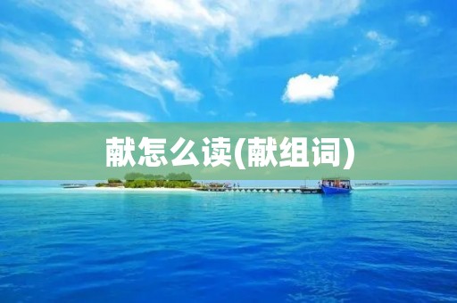 献怎么读(献组词)