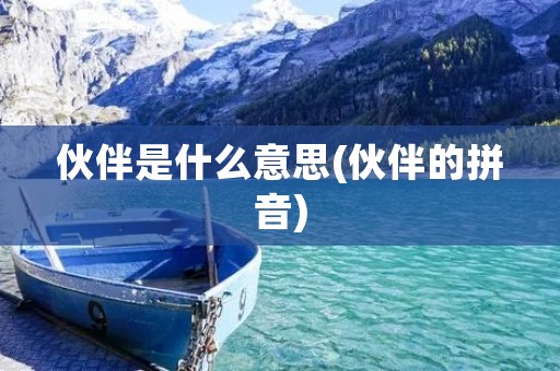 伙伴是什么意思(伙伴的拼音)