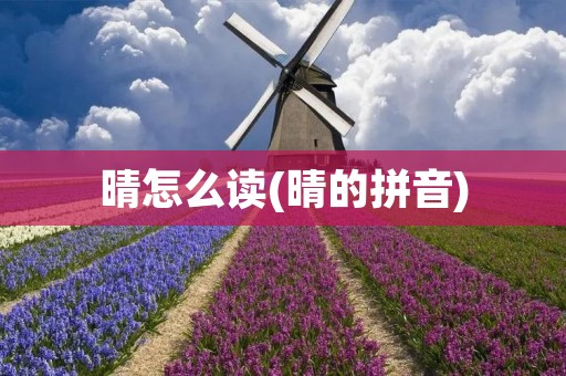 晴怎么读(晴的拼音)