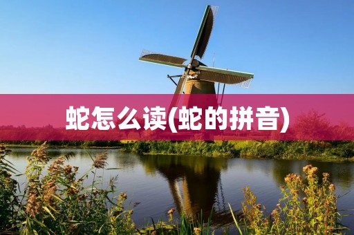 蛇怎么读(蛇的拼音)