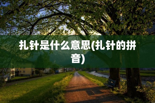 扎针是什么意思(扎针的拼音)