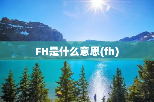 FH是什么意思(fh)