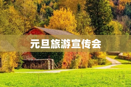 元旦旅游宣传会