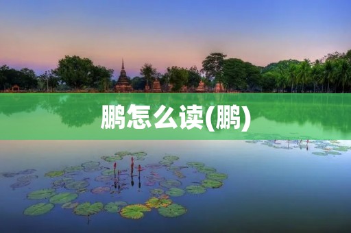 鹏怎么读(鹏)