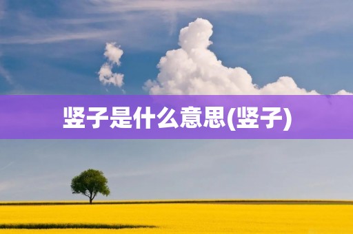 竖子是什么意思(竖子)