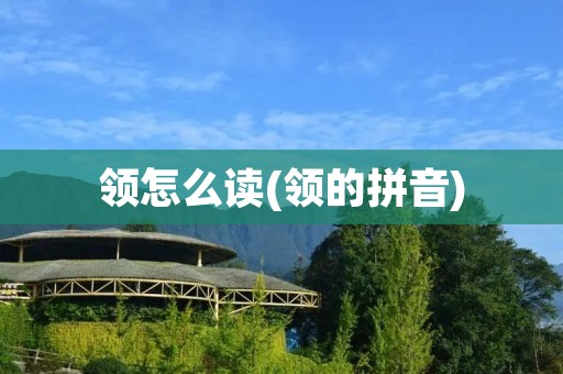 领怎么读(领的拼音)