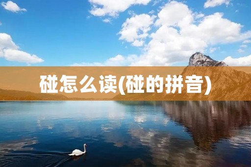 碰怎么读(碰的拼音)