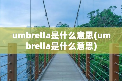 umbrella是什么意思(umbrella是什么意思)