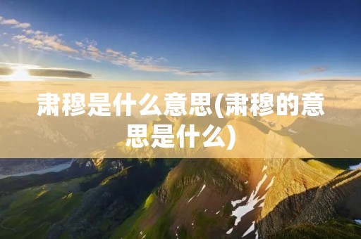 肃穆是什么意思(肃穆的意思是什么)