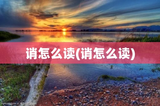 诮怎么读(诮怎么读)