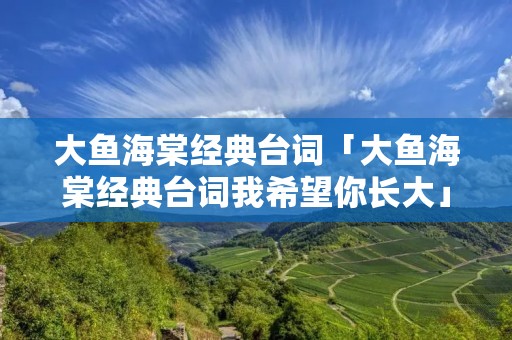 大鱼海棠经典台词「大鱼海棠经典台词我希望你长大」