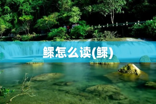 鳏怎么读(鳏)