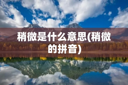 稍微是什么意思(稍微的拼音)