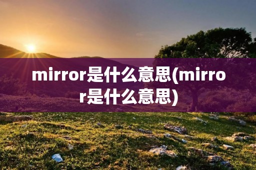 mirror是什么意思(mirror是什么意思)