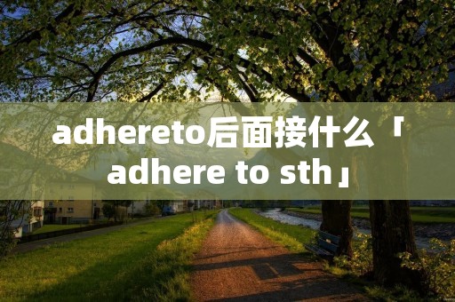 adhereto后面接什么「adhere to sth」