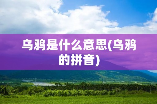 乌鸦是什么意思(乌鸦的拼音)