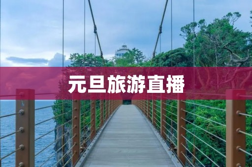 元旦旅游直播